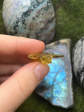 Medium Amber Bee Pendant