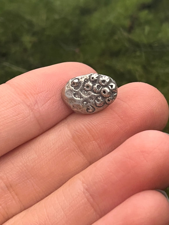 Small Silver Barnacle Button