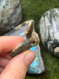 Large Abalone Bee Pendant