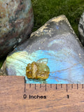 Small Amber Honey Bee Pendant