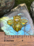 Medium Amber Bee Pendant