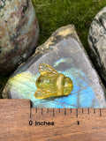 Medium Thick Amber Bee Pendant