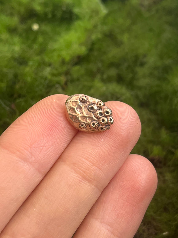 Small Bronze Barnacle Button