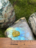 Small Amber Honey Bee Pendant