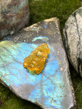 Medium Amber Bee Pendant