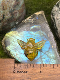 Medium Amber Bee Pendant