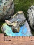 Large Abalone Bee Pendant