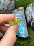 Medium Thick Amber Bee Pendant