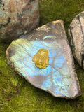 Small Amber Honey Bee Pendant