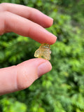 Small Amber Honey Bee Pendant