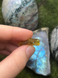 Medium Amber Bee Pendant