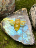 Medium Amber Honey Bee Pendant