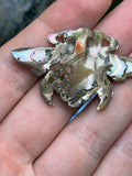 Large Abalone Bee Pendant