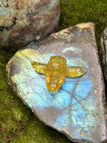 Medium Amber Honey Bee Pendant
