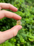 Small Amber Honey Bee Pendant