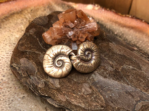 Bronze Seashell Clasp