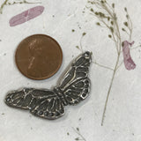 Butterfly Centerpiece