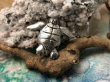 Baby Honu Turtle