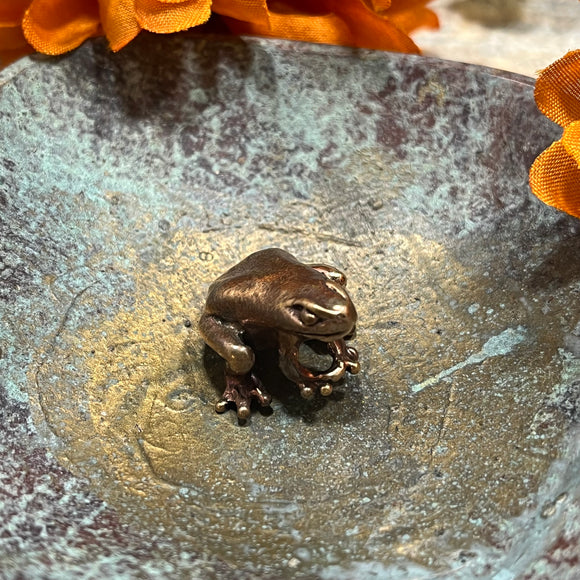 Bronze Poison Dart Frog