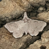 Little Bronze Moth Dangle