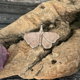 Little Bronze Moth Dangle