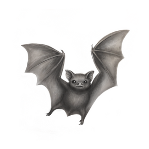 Little Bat Friend Print
