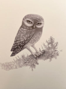 Baby Owl Print