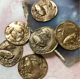 Bronze Rain Frog Coin Pendant