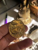 Bronze Rain Frog Coin Pendant