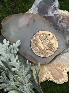 Bronze Owl Moon Coin Pendant